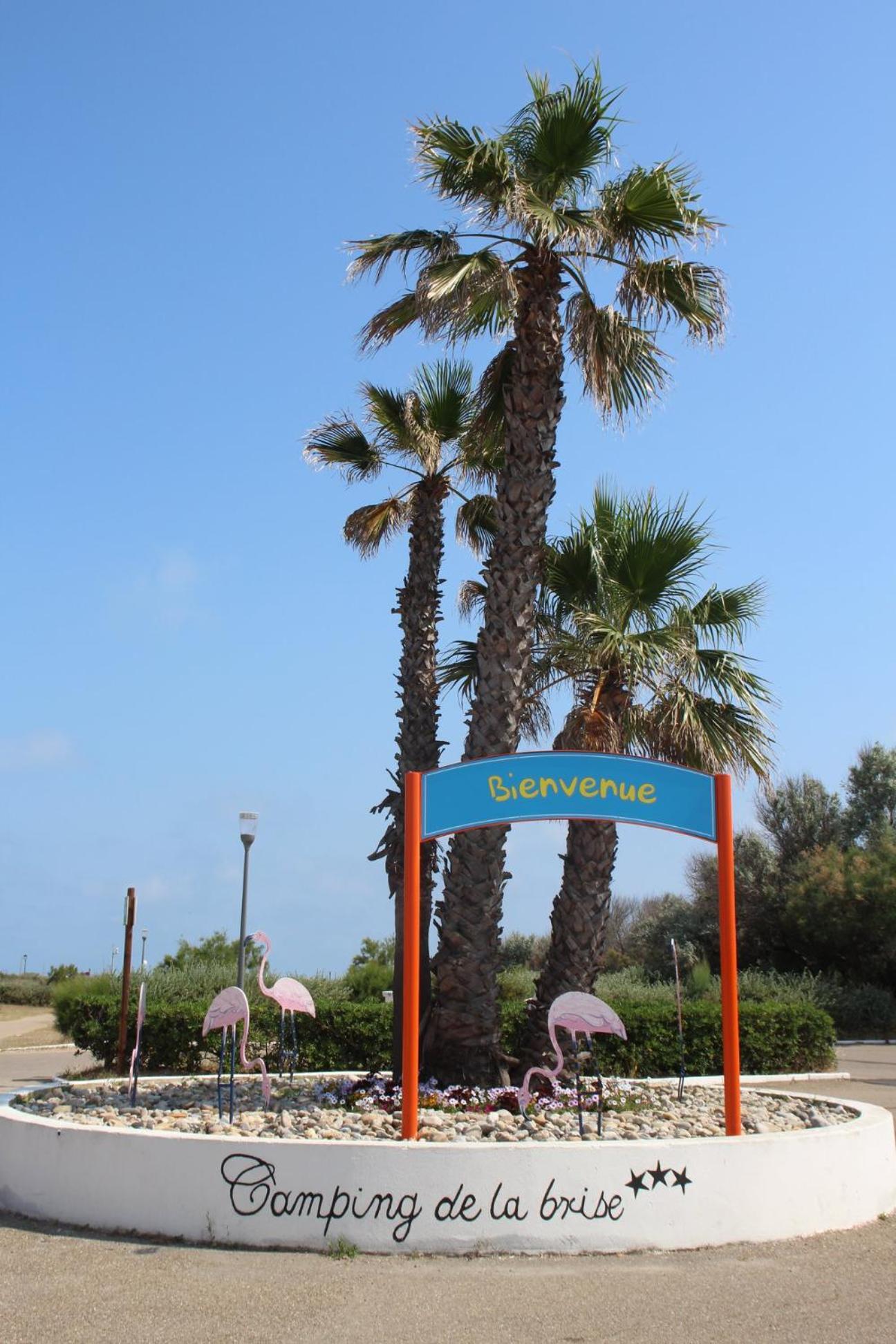 Camping La Brise De Camargue سانت ماري دو لا مير المظهر الخارجي الصورة